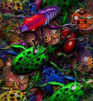 Background Tile beetles