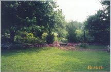 Swing and pond
