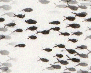 Background minnows