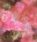 Background Tile pkcloud