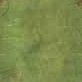 Background pond2