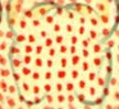 Background redspots