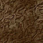 Background woody