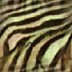 Background Tile zebra